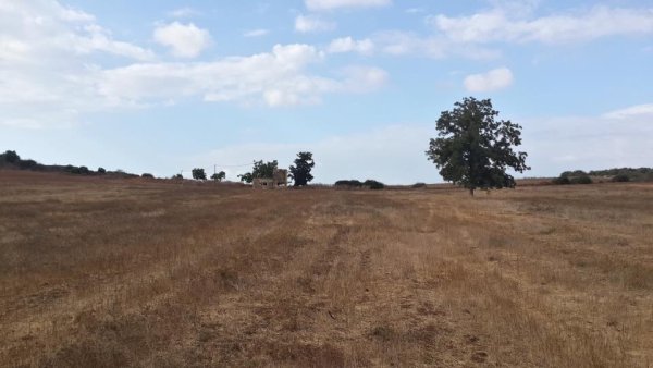 بير سالم / بئر سالم | موسوعة القرى الفلسطينية