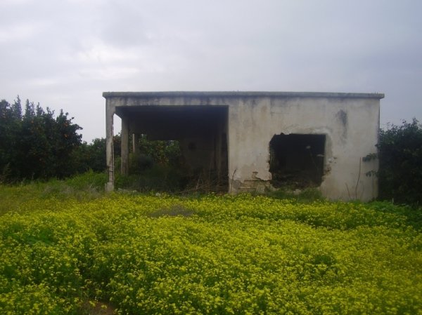 بير سالم / بئر سالم | موسوعة القرى الفلسطينية