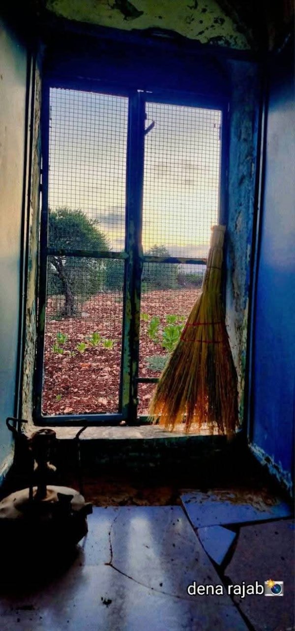 يَعْبَدْ | موسوعة القرى الفلسطينية