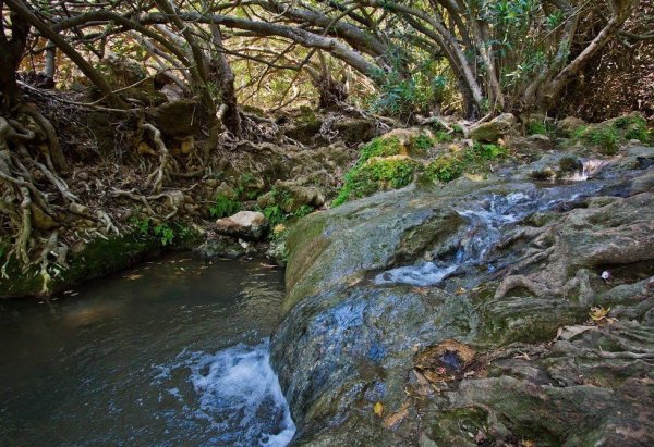 خربة عربين / القليطات | موسوعة القرى الفلسطينية