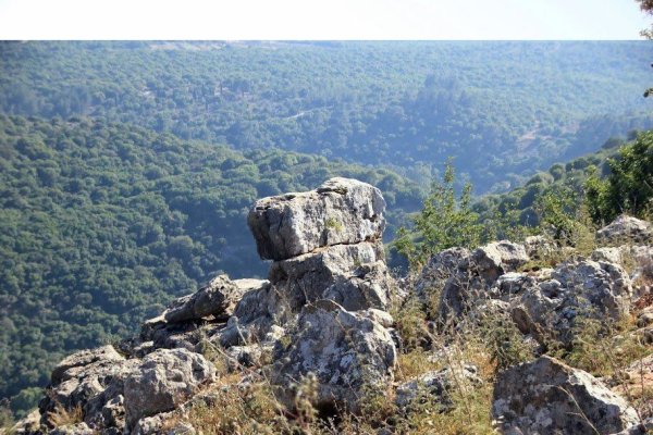 خربة عربين / القليطات | موسوعة القرى الفلسطينية