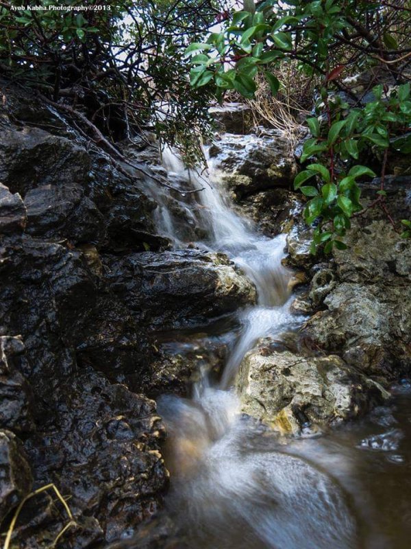 أم القطف/ أم القطوف | موسوعة القرى الفلسطينية