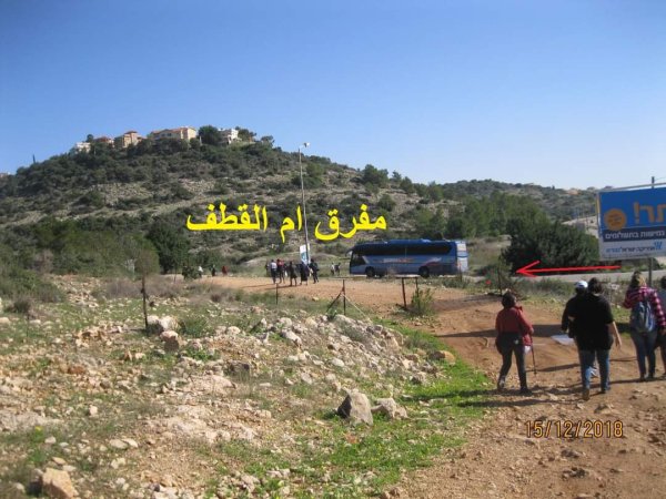 أم القطف/ أم القطوف | موسوعة القرى الفلسطينية