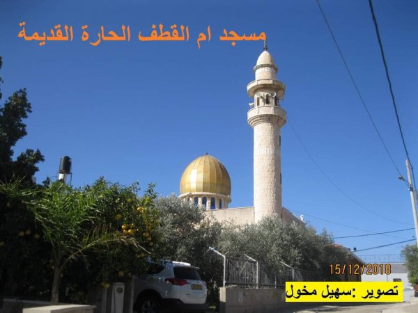 أم القطف/ أم القطوف | موسوعة القرى الفلسطينية