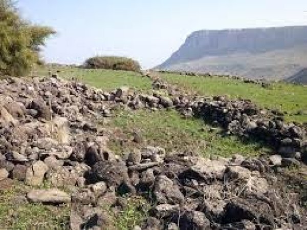 الوعرة السوداء/ عرب المواسي والوهيب | موسوعة القرى الفلسطينية