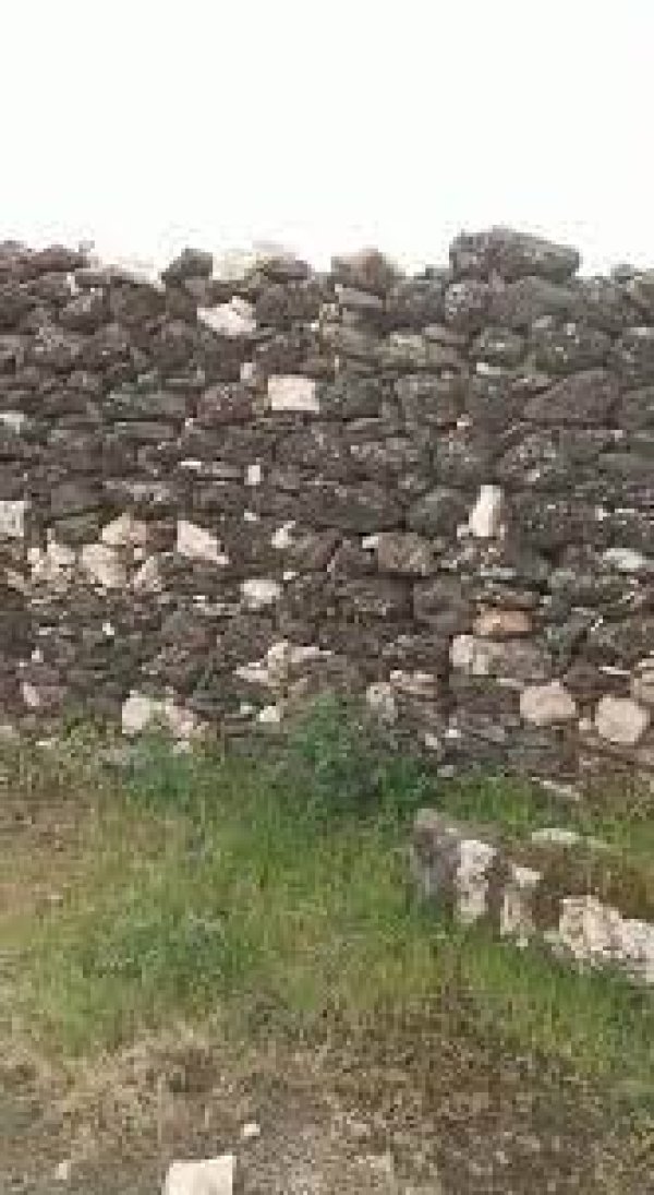 الوعرة السوداء/ عرب المواسي والوهيب | موسوعة القرى الفلسطينية