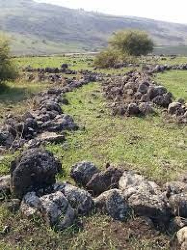 الوعرة السوداء/ عرب المواسي والوهيب | موسوعة القرى الفلسطينية