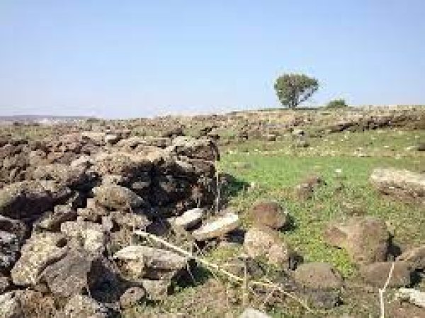 الوعرة السوداء/ عرب المواسي والوهيب | موسوعة القرى الفلسطينية