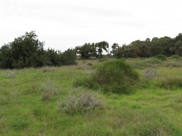 عرب الضمايرة | موسوعة القرى الفلسطينية