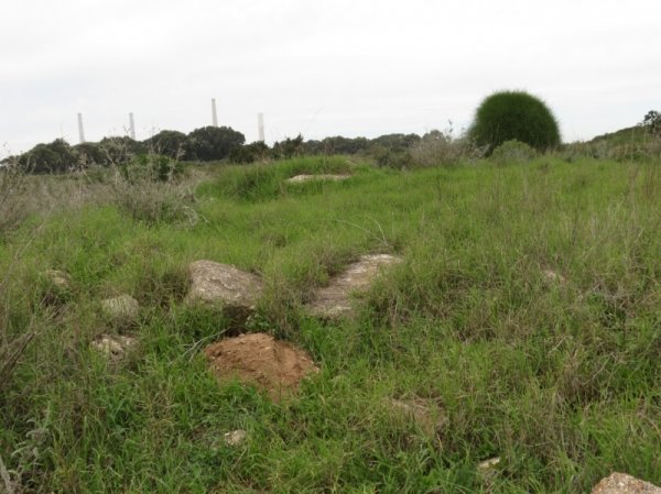 عرب الضمايرة | موسوعة القرى الفلسطينية