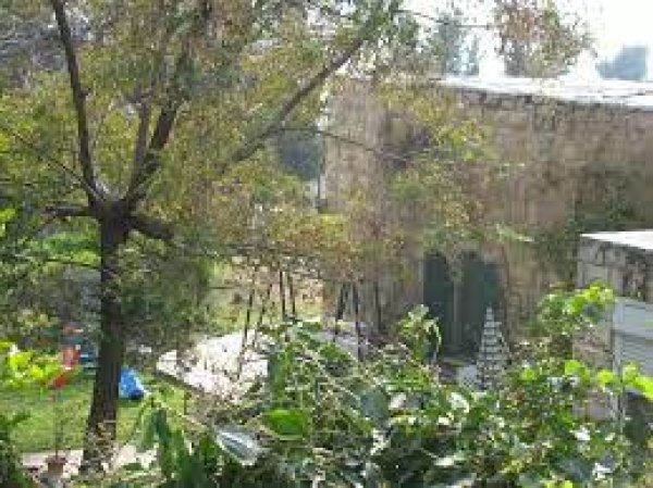 بيت نقوبا / نقوبة /عين نقوبا | موسوعة القرى الفلسطينية