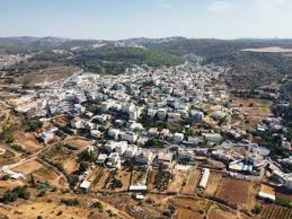 بيت نقوبا / نقوبة /عين نقوبا | موسوعة القرى الفلسطينية