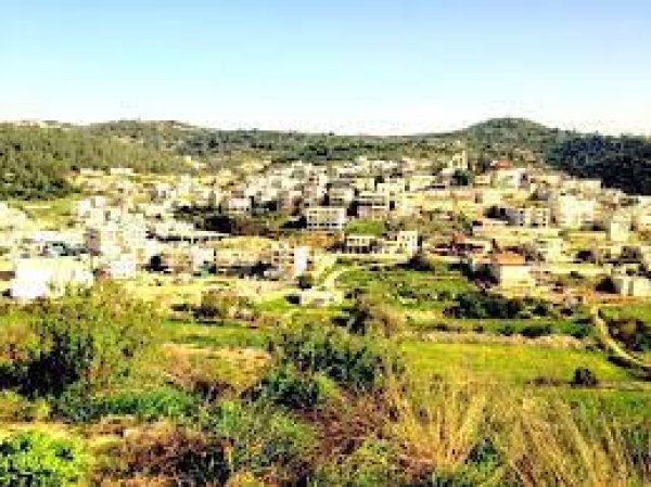 بيت نقوبا / نقوبة /عين نقوبا | موسوعة القرى الفلسطينية