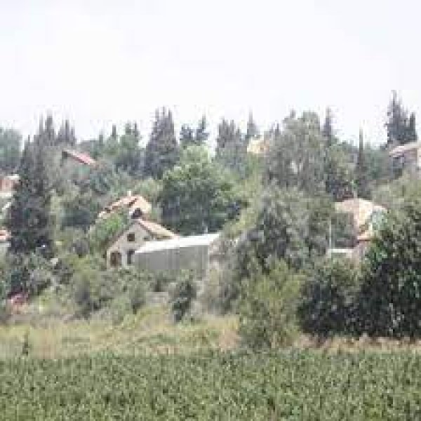 بيت نقوبا / نقوبة /عين نقوبا | موسوعة القرى الفلسطينية