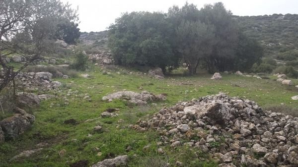 سفلى / من قرى عرقوب | موسوعة القرى الفلسطينية