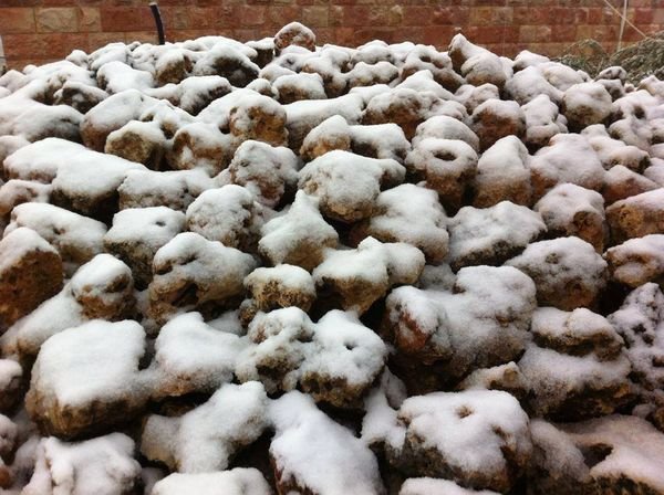 عين الأسد | موسوعة القرى الفلسطينية