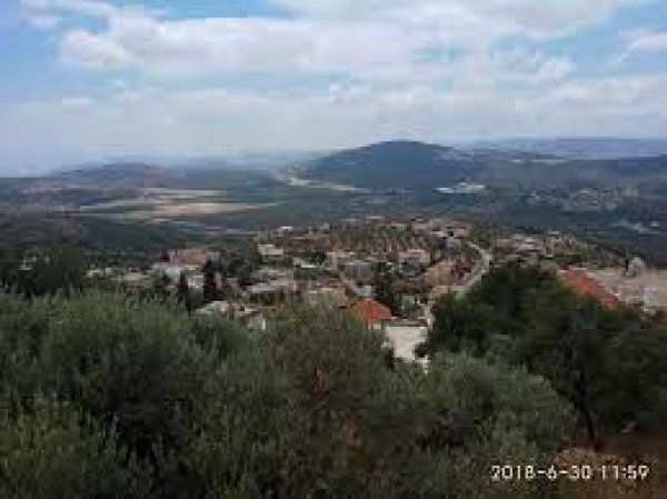 عين الأسد | موسوعة القرى الفلسطينية