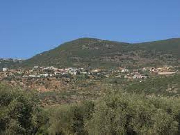 عين الأسد | موسوعة القرى الفلسطينية