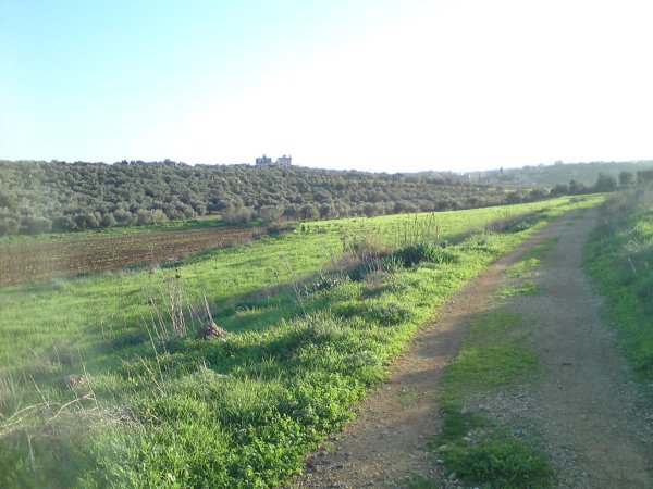 رُمَّانَة | موسوعة القرى الفلسطينية