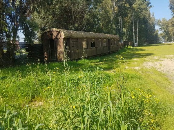 تل الشمام/ خربة دبّاشَة | موسوعة القرى الفلسطينية