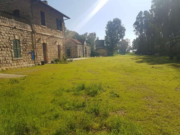 تل الشمام/ خربة دبّاشَة | موسوعة القرى الفلسطينية