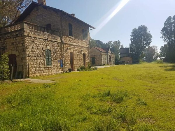 تل الشمام/ خربة دبّاشَة | موسوعة القرى الفلسطينية