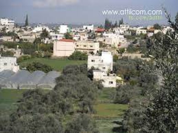 عتيل/ قرى الشعراوية | موسوعة القرى الفلسطينية عتيل/ قرى الشعراوية | موسوعة القرى الفلسطينية