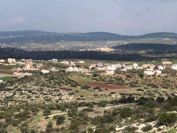 أمُّ التُوْت | موسوعة القرى الفلسطينية