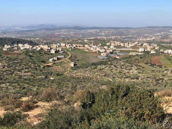 أمُّ التُوْت | موسوعة القرى الفلسطينية