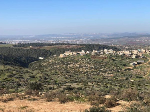 أمُّ التُوْت | موسوعة القرى الفلسطينية