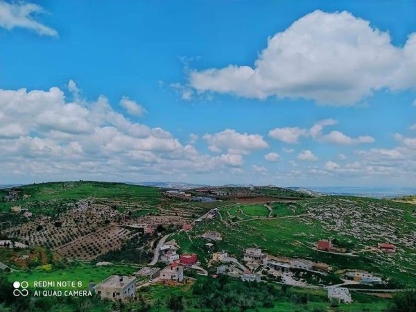 الزاوِيَة | موسوعة القرى الفلسطينية