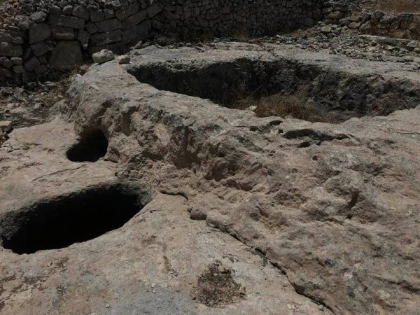 شُوْشَحْلَة | موسوعة القرى الفلسطينية