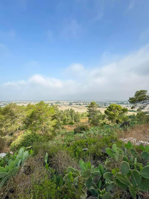 جَبَعْ/ قرى جبل الكرمل | موسوعة القرى الفلسطينية