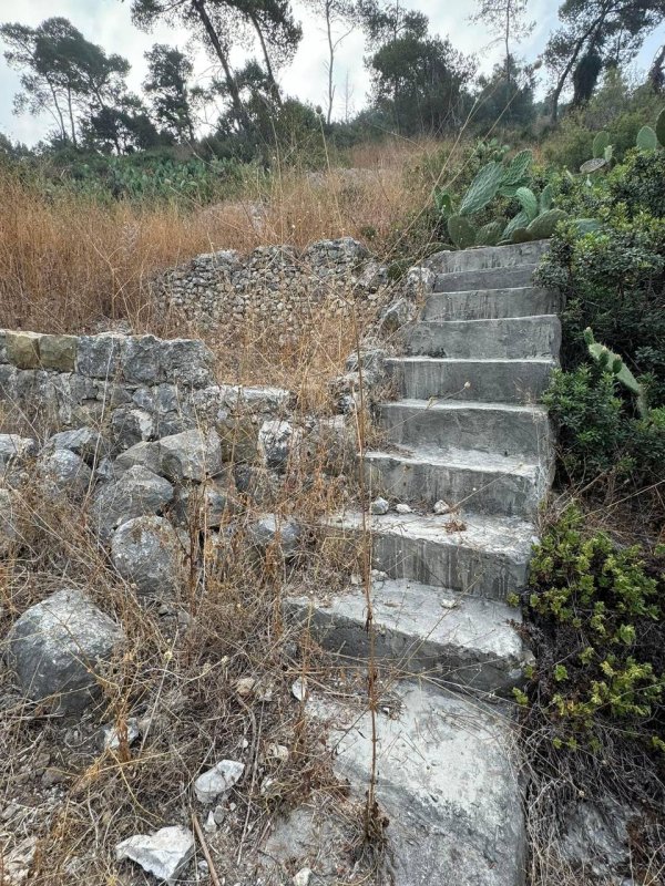 جَبَعْ/ قرى جبل الكرمل | موسوعة القرى الفلسطينية