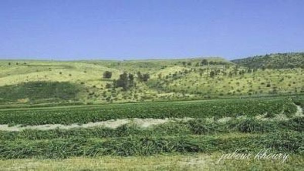 جَبَعْ/ قرى جبل الكرمل | موسوعة القرى الفلسطينية