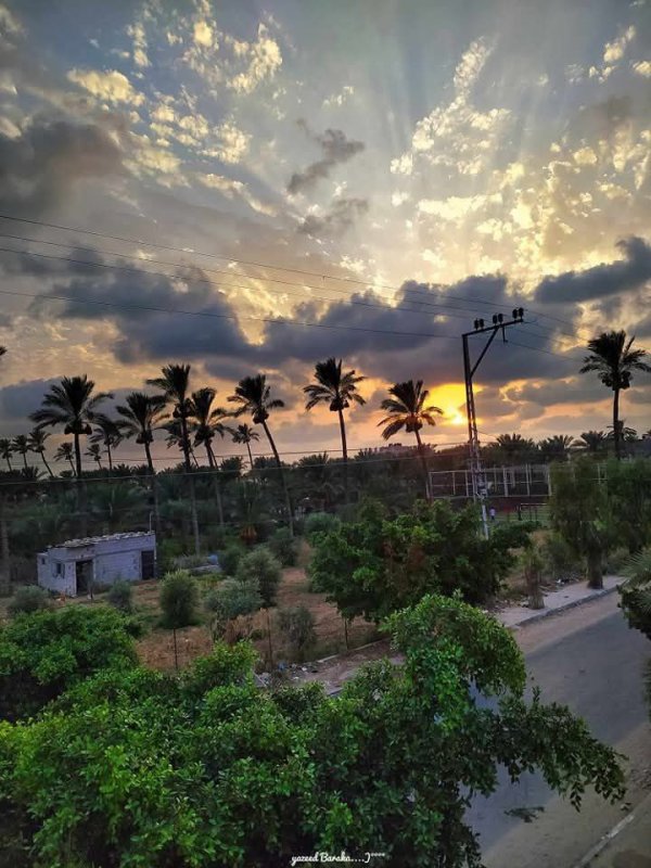 مدينة دَيْر البَلَحْ/ المحافظة الوسطى | موسوعة القرى الفلسطينية