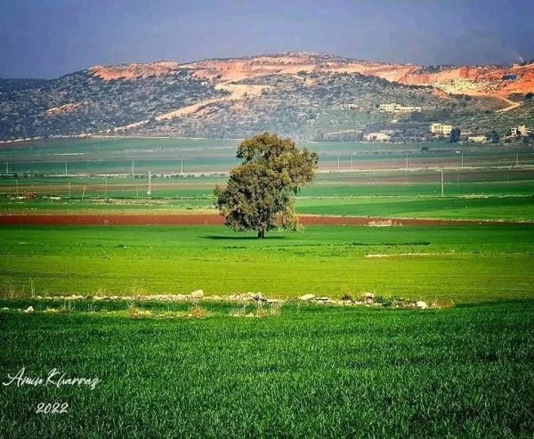 الزَبابِدَة | موسوعة القرى الفلسطينية