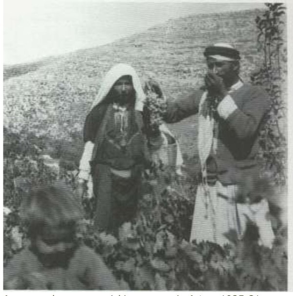 أرطاس / من قرى عرقوب | موسوعة القرى الفلسطينية