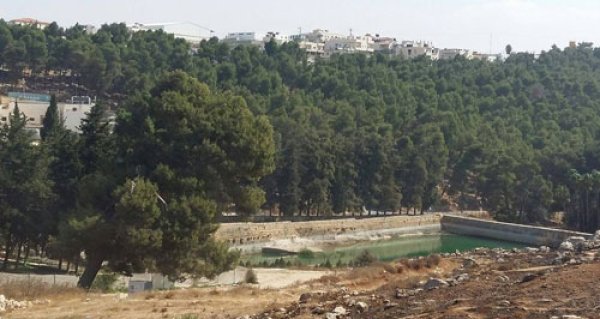 الخضر | موسوعة القرى الفلسطينية