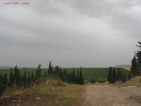 لُوبِيَا/ لُوبِيَة | موسوعة القرى الفلسطينية