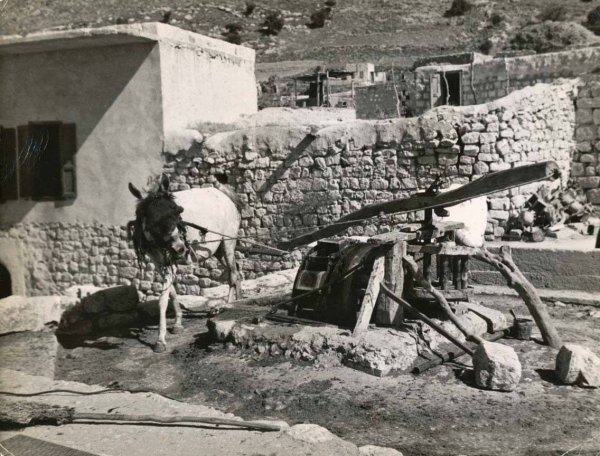 إعِبِِلّين/ عْبِِلَّيْن | موسوعة القرى الفلسطينية