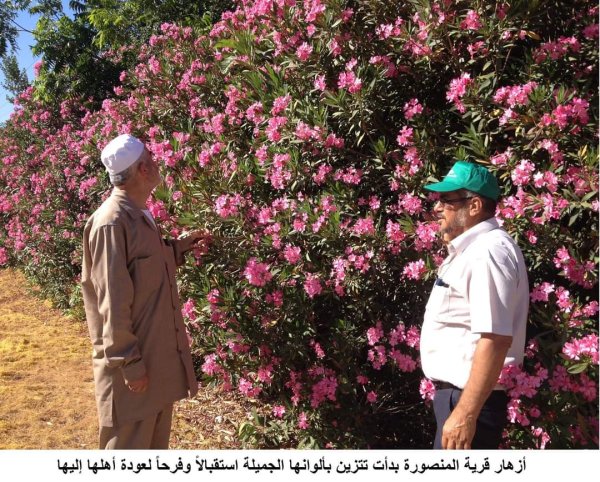 خربة المنصورة | موسوعة القرى الفلسطينية