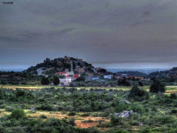 أم القطف/ أم القطوف | موسوعة القرى الفلسطينية