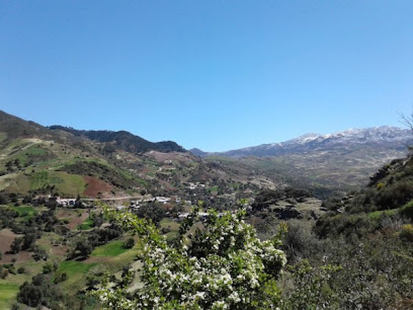 شرفات | موسوعة القرى الفلسطينية