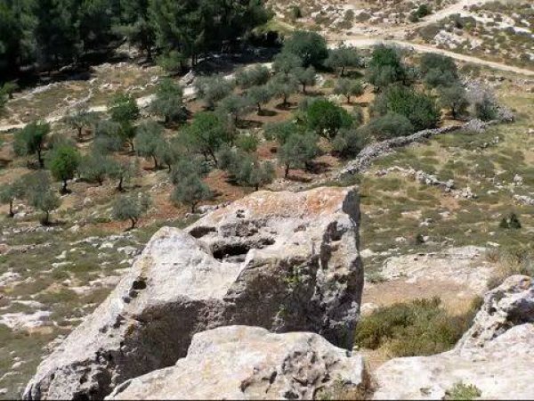 شرفات | موسوعة القرى الفلسطينية