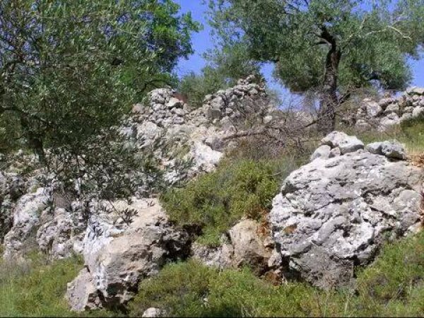 شرفات | موسوعة القرى الفلسطينية