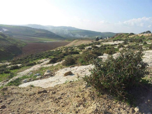 المَنْصورَة | موسوعة القرى الفلسطينية