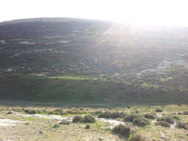 المَنْصورَة | موسوعة القرى الفلسطينية