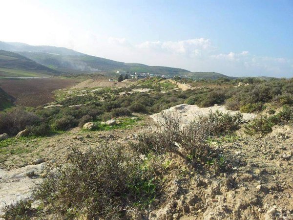 المَنْصورَة | موسوعة القرى الفلسطينية