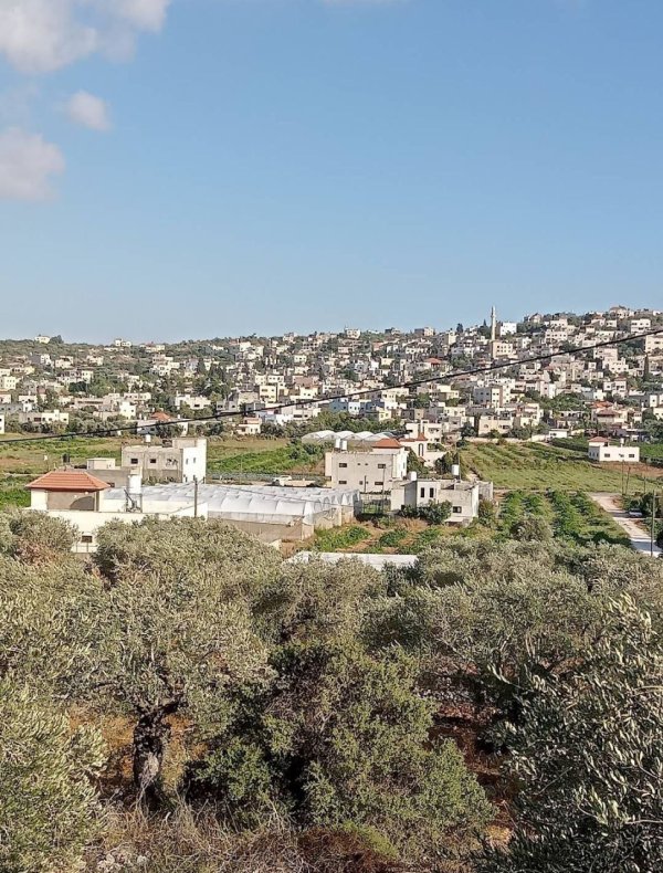 مِسِلْيَة | موسوعة القرى الفلسطينية